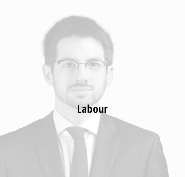 Paul Raffournier - Lawyer RMT - Labour
