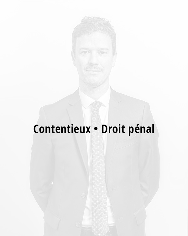 Pierre Menegaux - Counsel RMT - Contentieux • Droit pénal